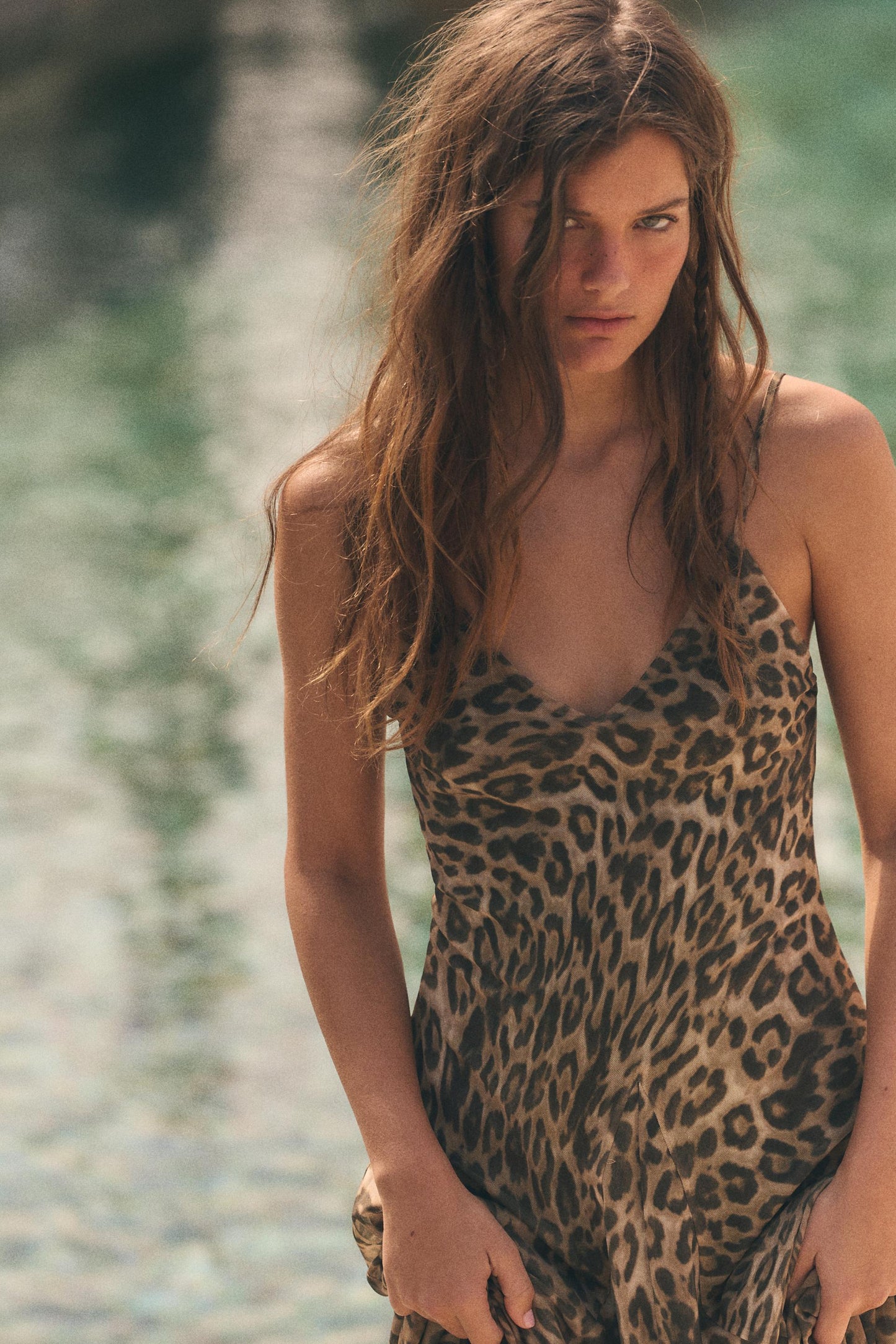 #302217, Leopard