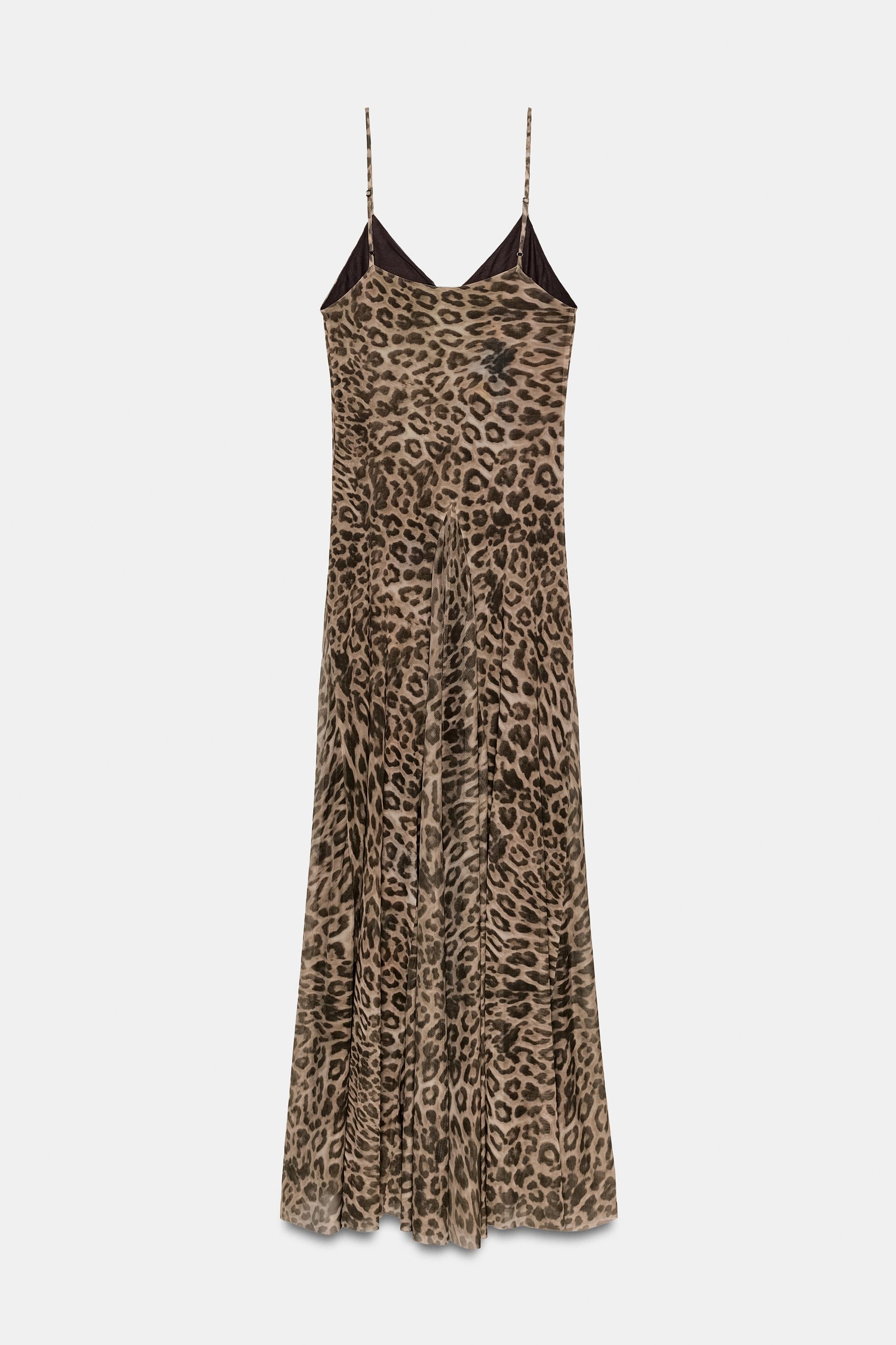 #302217, Leopard